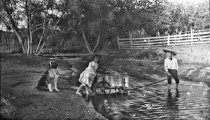 Crawford children playing in stream, c1893